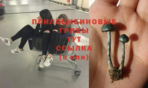 МДПВ Абаза