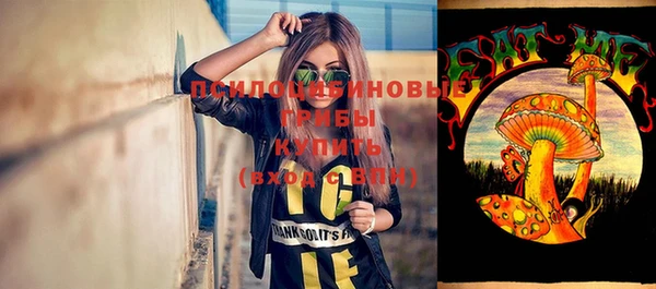 эйфоретик Абинск